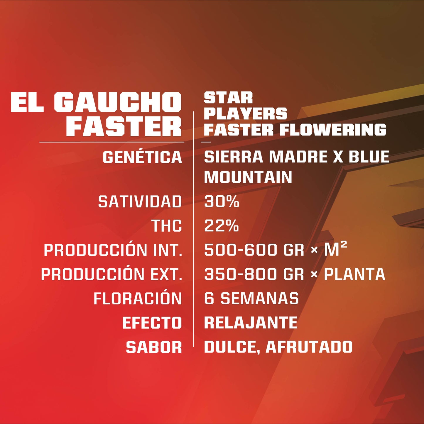 EL GAUCHO FAST VERSION - BSF