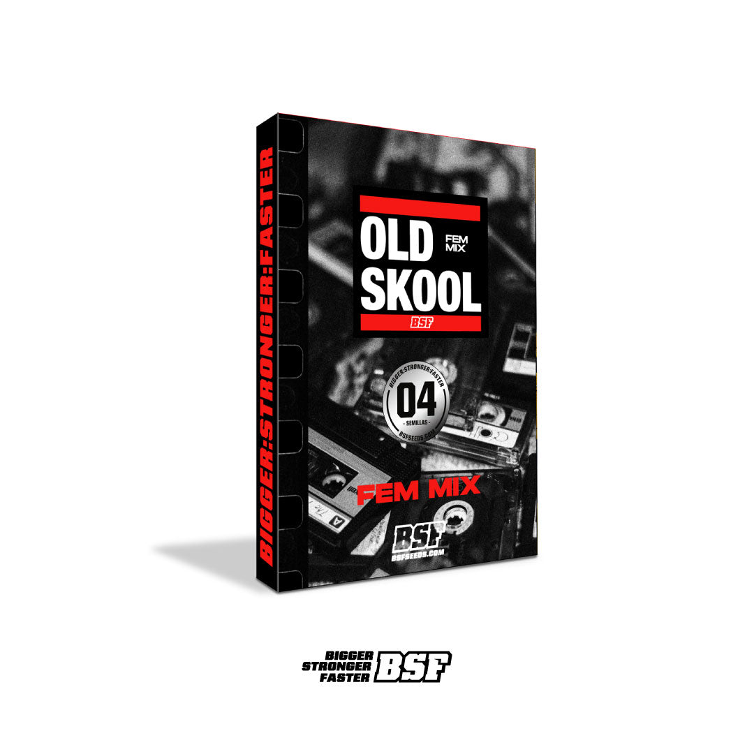MIX OLD SKOOL X12 FEM - BSF