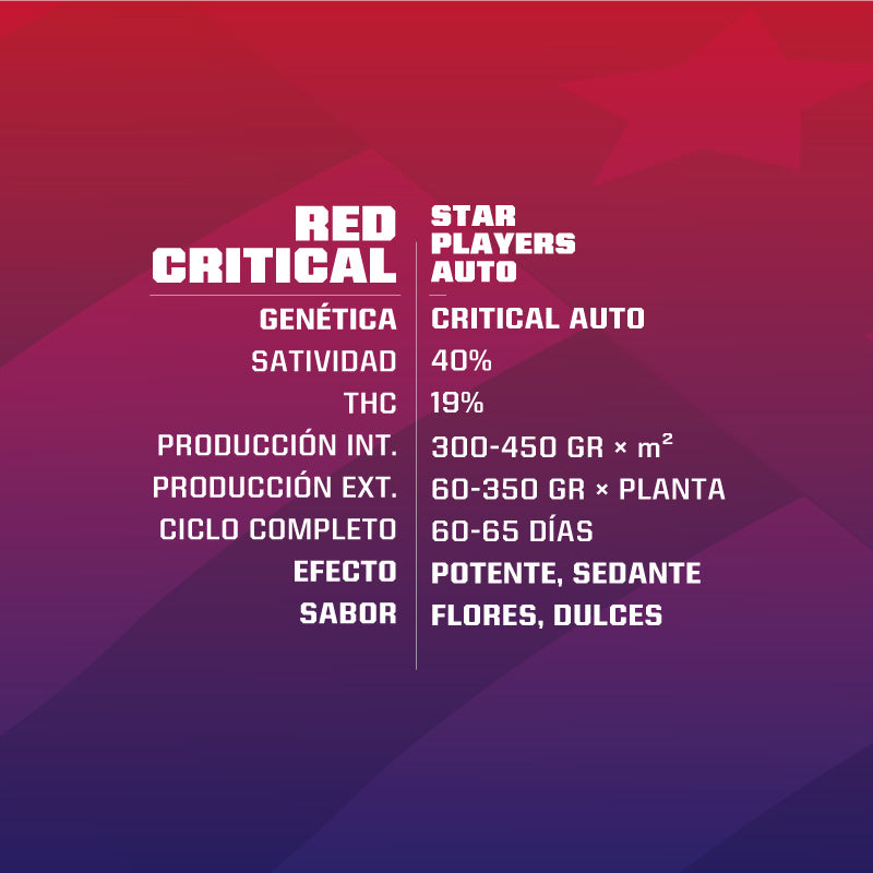 RED CRITICAL AUTO - BSF