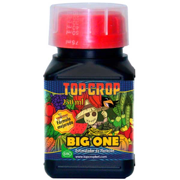 BIG ONE 250ML - TOP CROP