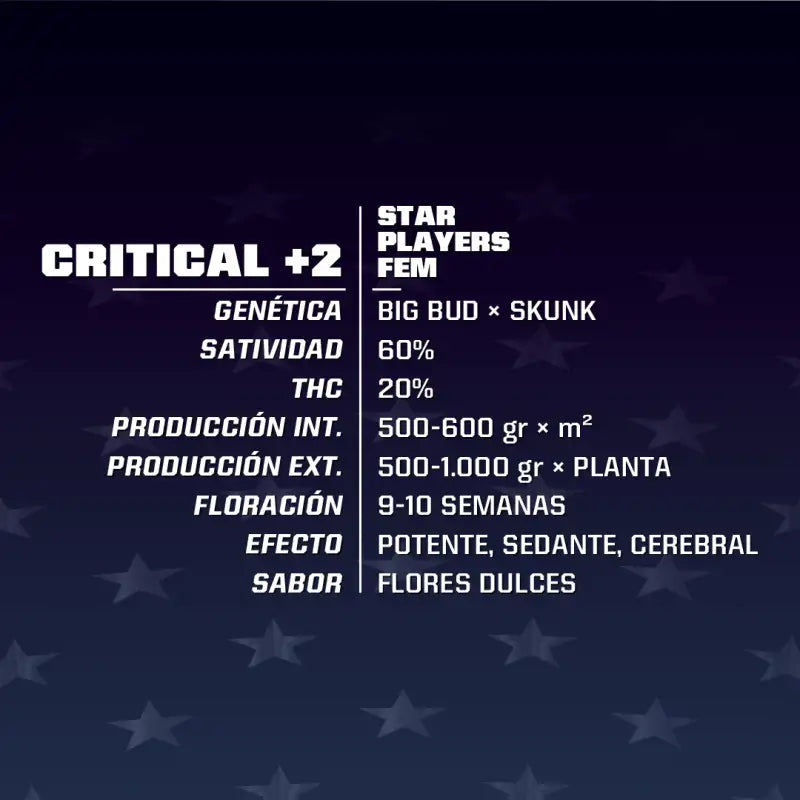 CRITICAL +2 FEM - BSF