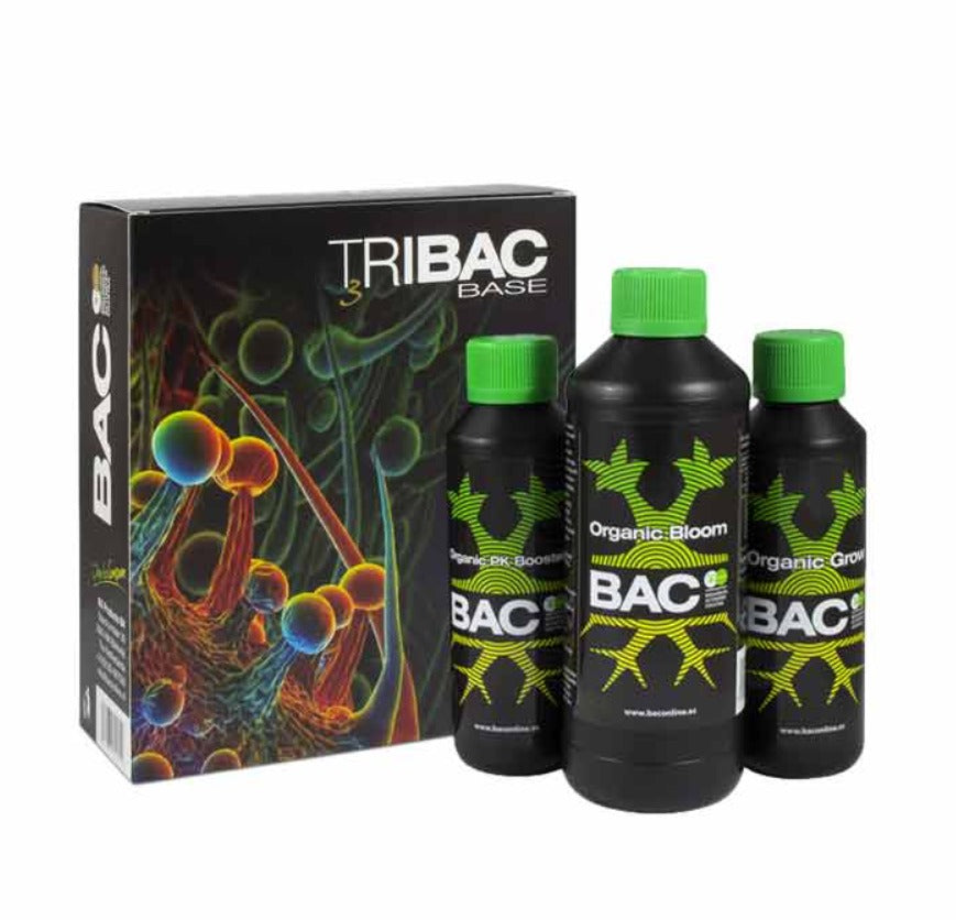 TRIPACK TRIBAC BASE - BAC