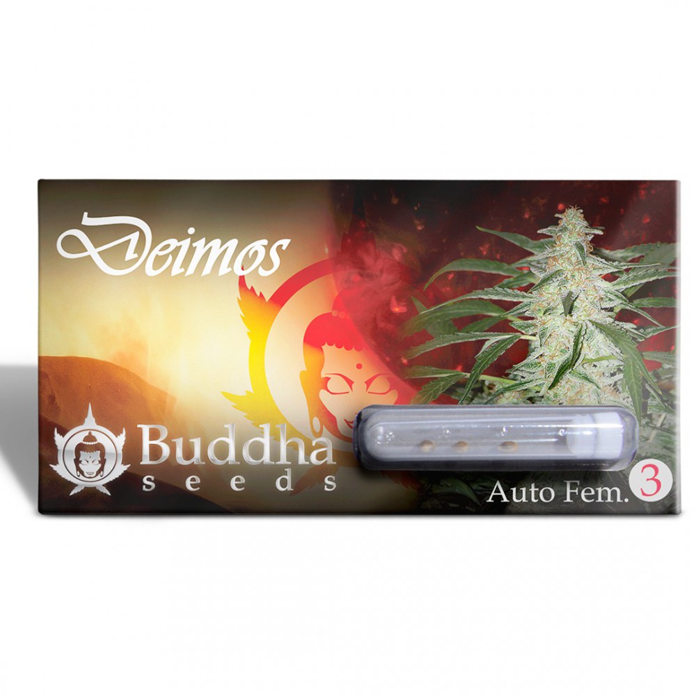 DEIMOS AUTO X3+1 - BUDDHA SEEDS