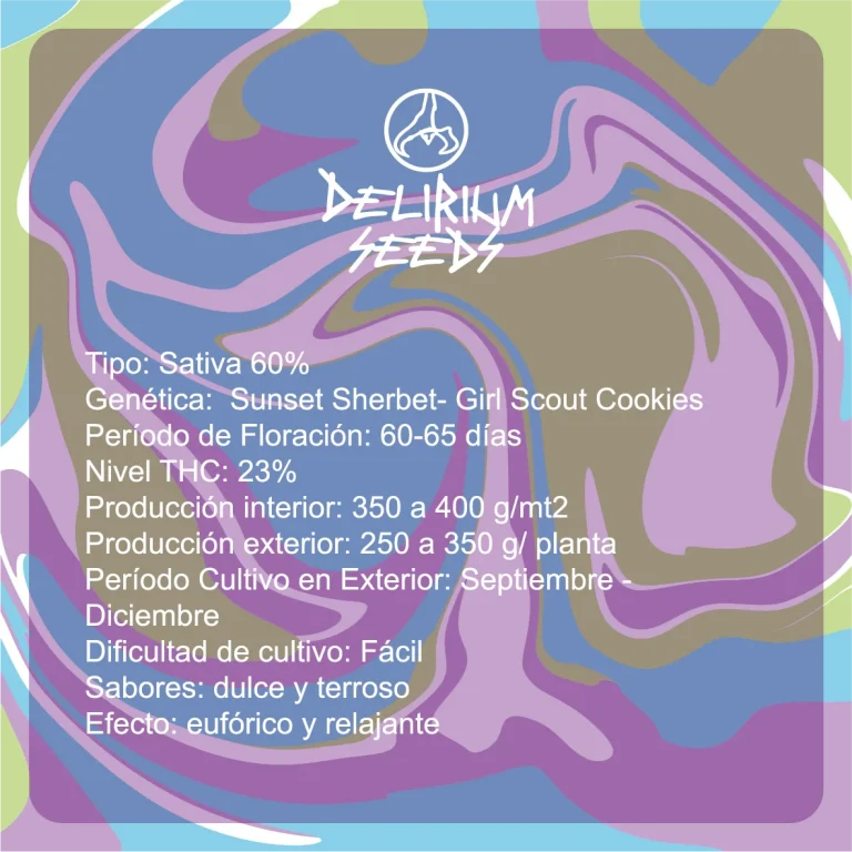 GELATO FRUITS AUTO X1 - DELIRIUM SEEDS