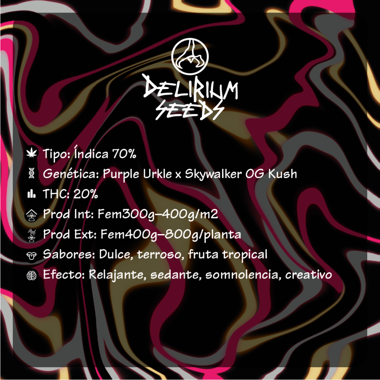 RED RAPPER AUTO X1 - DELIRIUM SEEDS