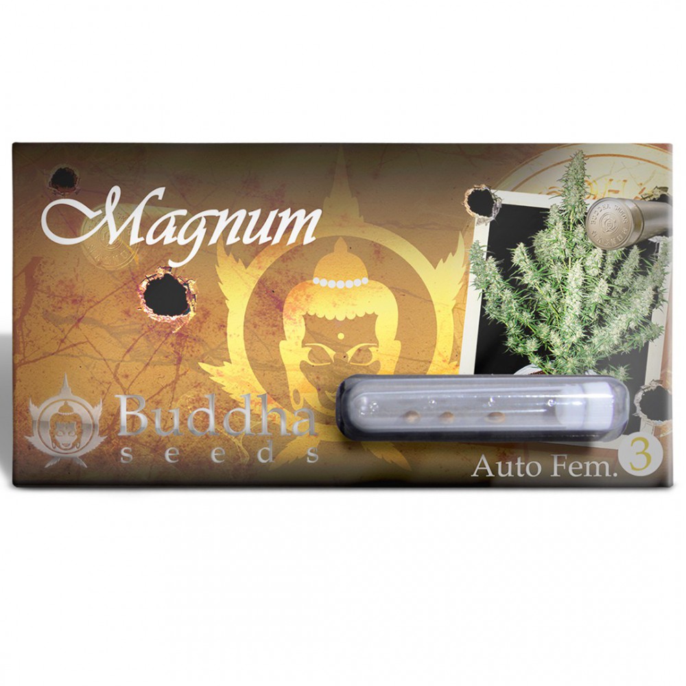 MAGNUM AUTO X3 - BUDDHA SEEDS