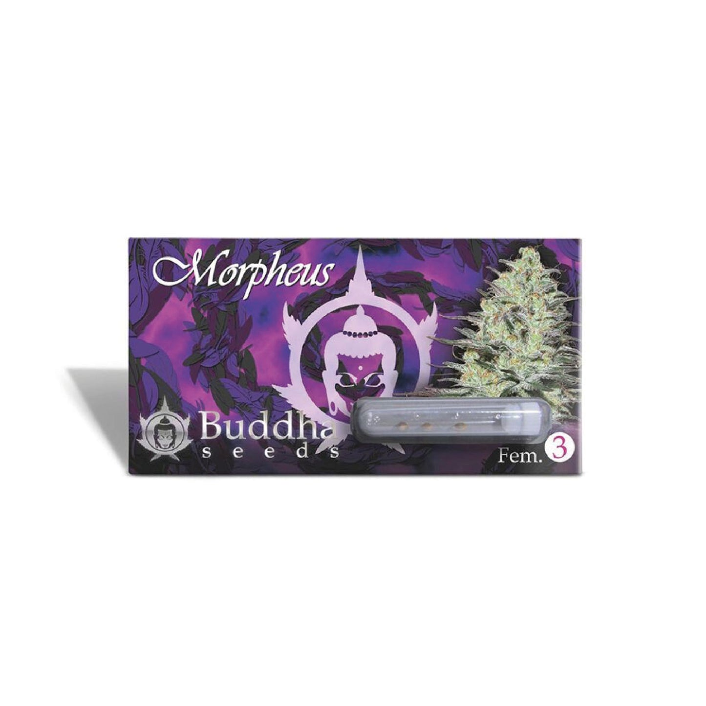 MORPHEUS X3 FEM - BUDDHA SEEDS