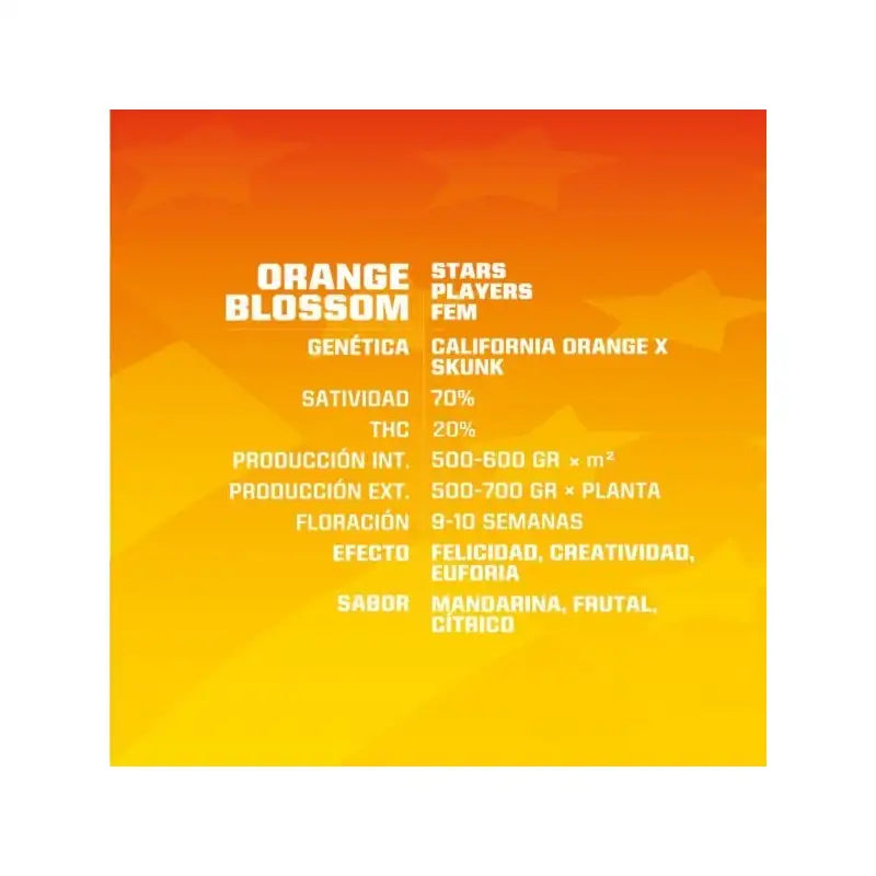 ORANGE BLOSSOM FEM - BSF