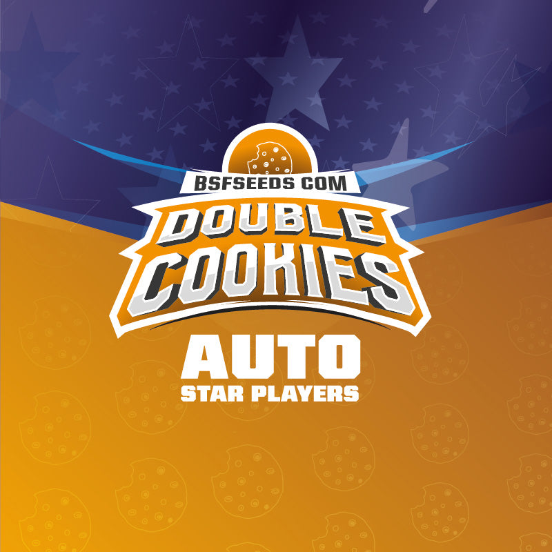 DOUBLE COOKIES AUTO - BSF