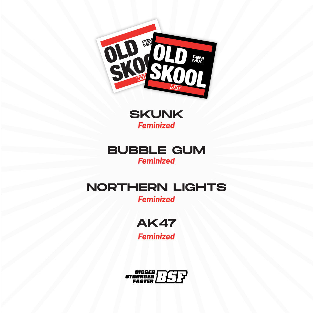 MIX OLD SKOOL X12 FEM - BSF