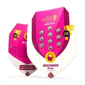 AMNESIA HAZE AUTO X3 - ROYAL QUEEN