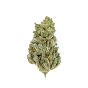AMNESIA HAZE AUTO X3 - ROYAL QUEEN