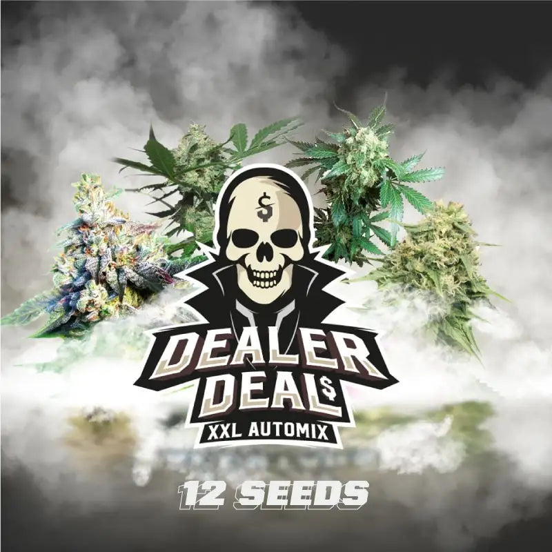 MIX DEALER DEAL XXL X12 AUTO - BSF