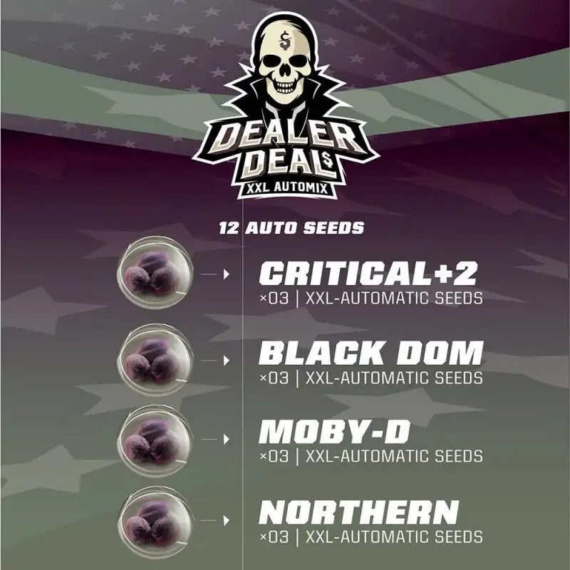 MIX DEALER DEAL XXL X12 AUTO - BSF