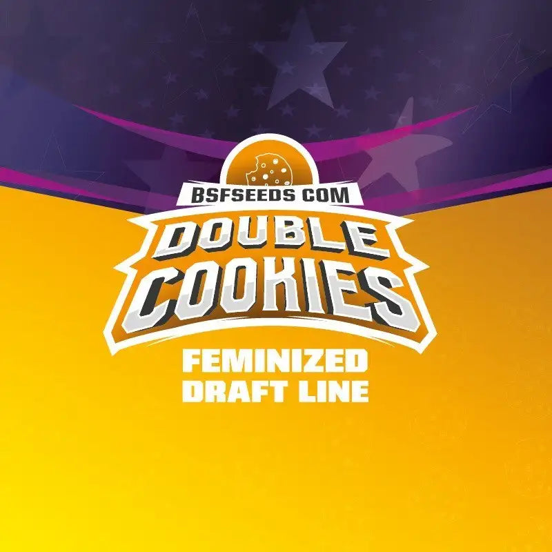 DOUBLE COOKIES FEM - BSF