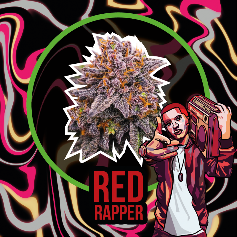 RED RAPPER AUTO X1 - DELIRIUM SEEDS