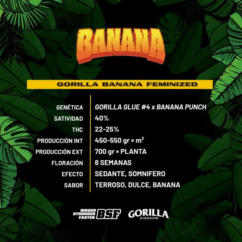 BANANA FAMILIA GORILLA FEM - BSF