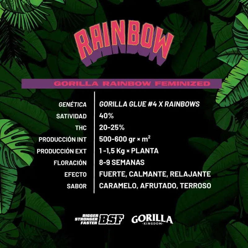 RAINBOW GORILLA FAM FEM - BSF