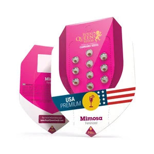 MIMOSA AUTO X3 - ROYAL QUEEN