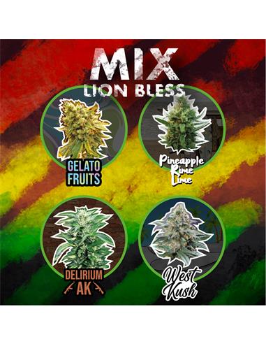 MIX LION BLESS AUTO - DELIRIUM SEEDS