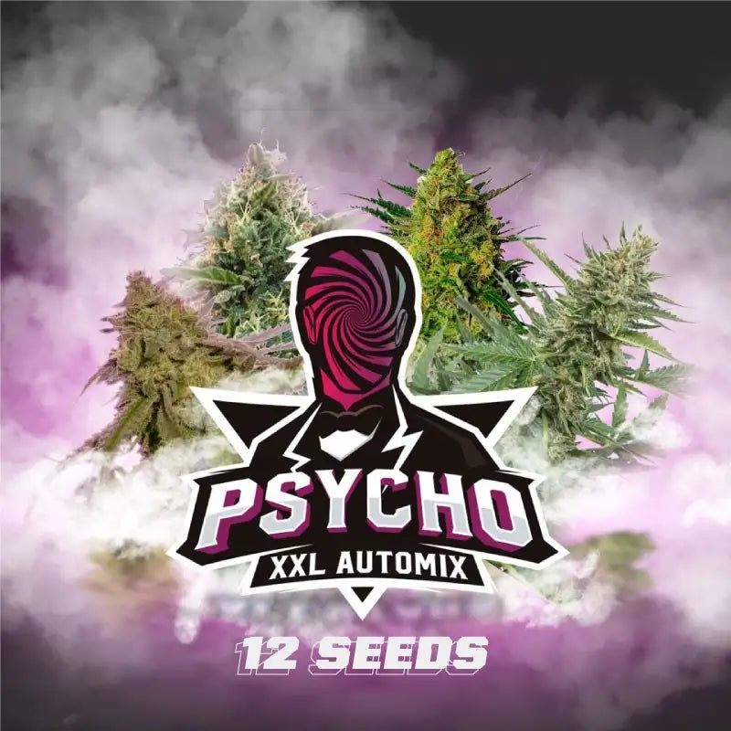 PSYCHO XXL X12 AUTO - BSF